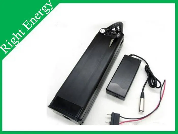 لتیم لی آئن بیٹری چارجر کے ساتھ